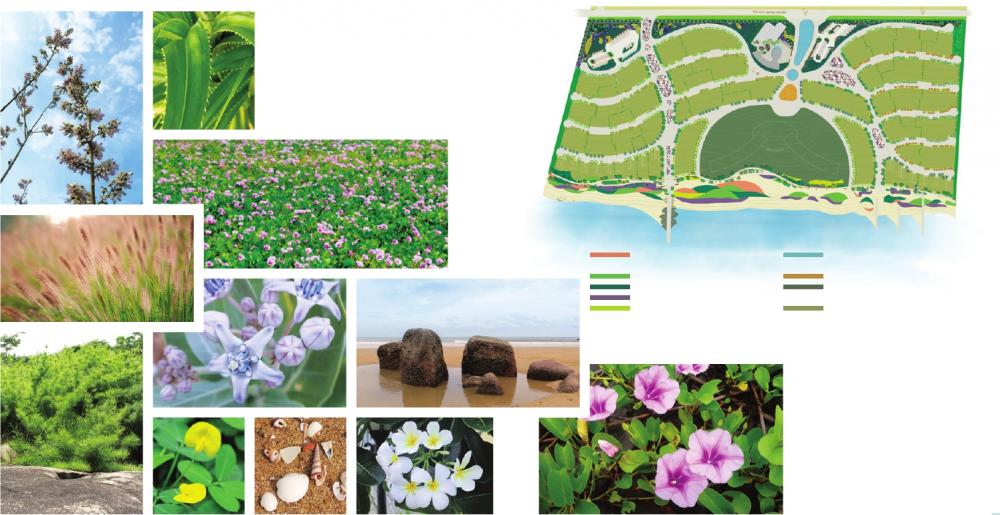 Oceanami Luxury Homes and Resort