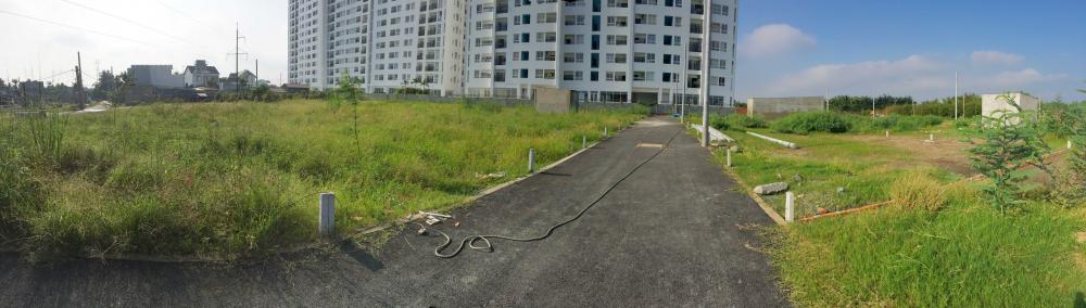 Tiện ích thương mại và dịch vụ