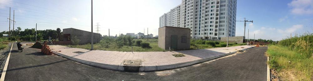 Hình ảnh khu đất nền dự án