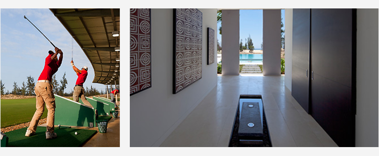 Quang cảnh biệt thự và cây xanh nhiệt đới