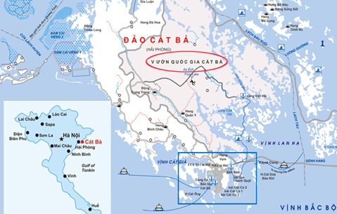 Mô hình biệt thự ven biển Venus Cát Bà