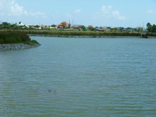 Khu nhà phố liền kề Khu đô thị Phước Lý