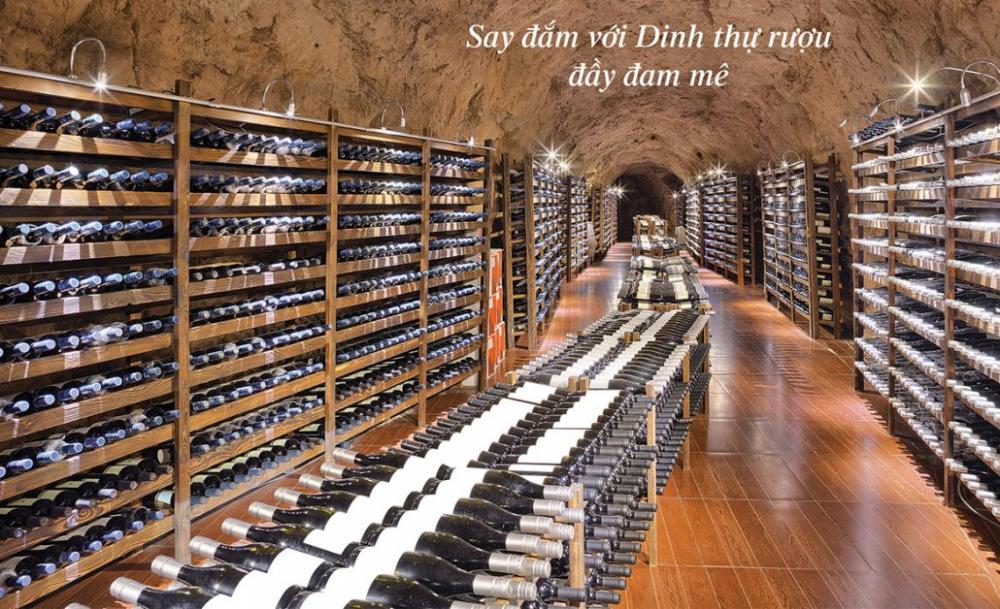 Thiết kế khu shophouse