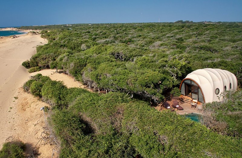 Một phòng nghỉ dưỡng hình kén nằm giữa những vạt cây xanh kiến trúc khu nghỉ dưỡng