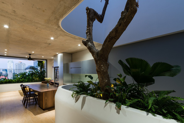 Ảnh chụp kkhoảng thông gió được trồng cây xanh, giúp đưa thiên nhiên vào không gian sống khoảng thông gió nhà đẹp