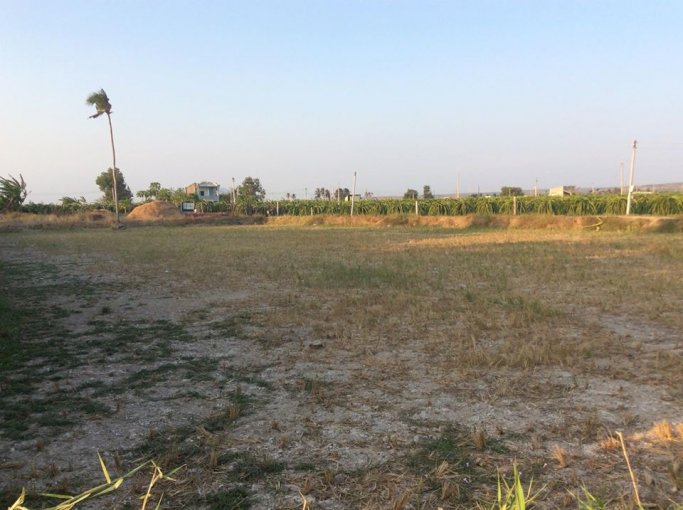 Bán đất đẹp 3MT thôn Phú Điền - Phú Lạc - Tuy Phong - Bình Thuận - LHCC chị Yến 0903806896