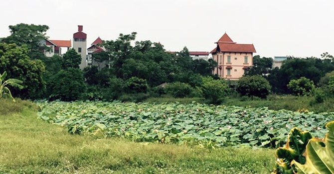 Phó Thủ tướng yêu cầu làm rõ vụ cấp sổ đỏ cho 1.000m2 đất công  Cấp sổ đỏ cho đất công