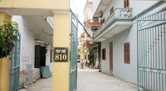 khu tập thể 810