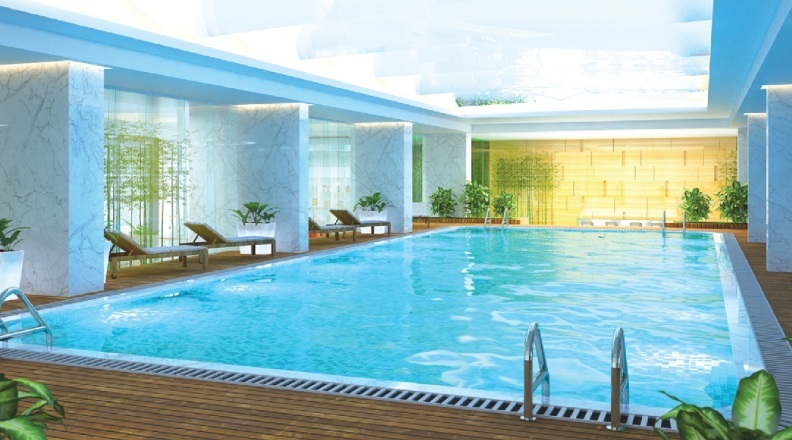 Phối cảnh bể bơi 