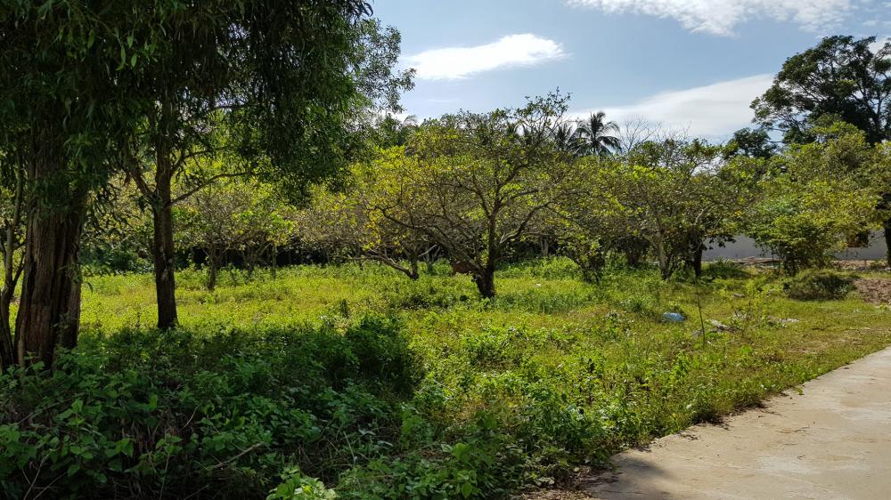 Mảnh đất được nhiều chủ từ Hà Nội chung tiền mua đầu tư tại khu vực Ông Lang khu vực Ông Lang - Phú Quốc