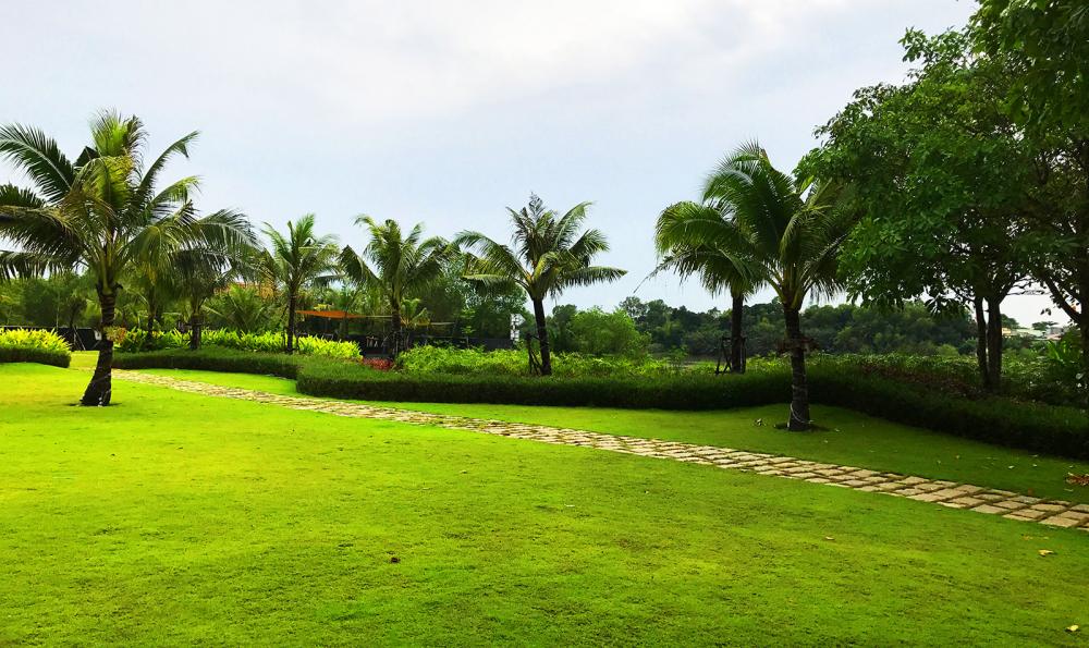 Đại Phước Lotus