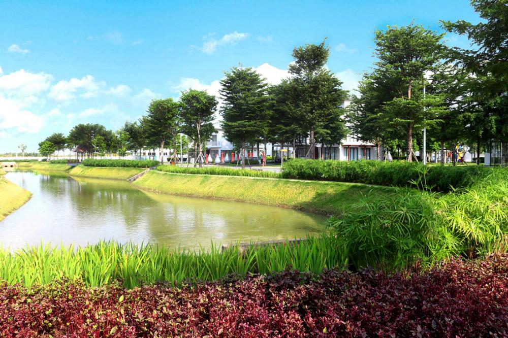 Đại Phước Lotus