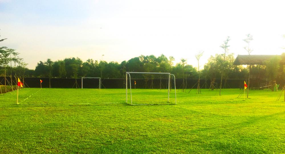 Đại Phước Lotus