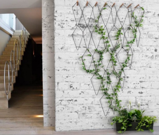 Không gian thêm duyên dáng nhờ điểm nhấn từ cây dây leo