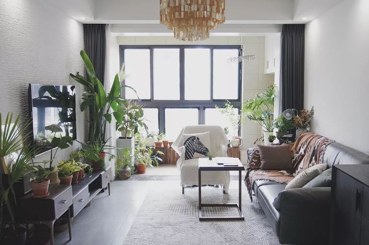 Căn hộ đẹp và bình yên như "khu vườn" của cô gái trẻ