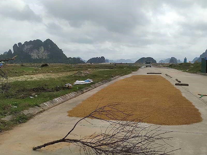 BĐS Vân Đồn