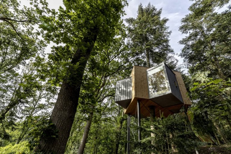 Thăm ngôi nhà trên cây xinh xắn trong khu rừng Đan Mạch