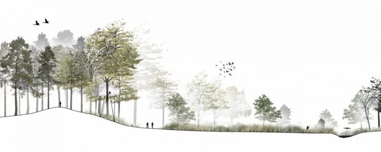 Mặt cắt địa hình Ngôi nhà trên cây