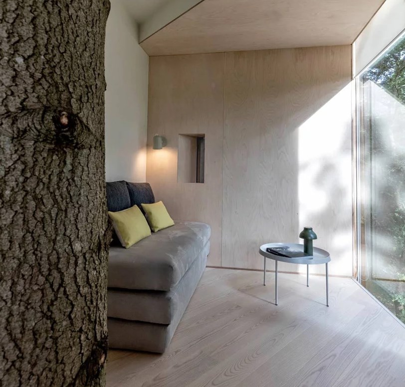 Thiết kế nội thất ngôi nhà trên cây Ngôi nhà trên cây