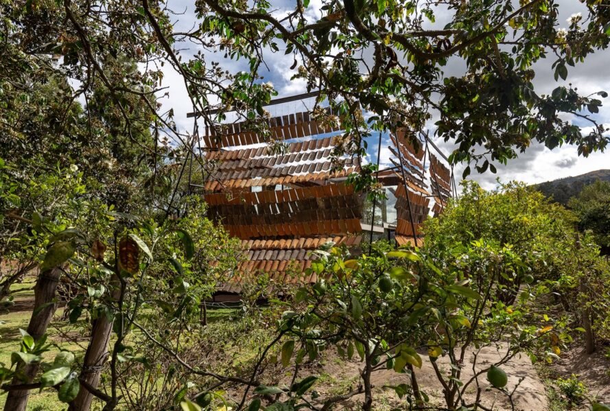 Không gian xanh xung quanh ngôi nhà Ngôi nhà độc đáo làm từ vật liệu tái chế