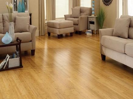 [Infographic] Khám phá 8 vật liệu lót sàn nhà phổ biến nhất hiện nay