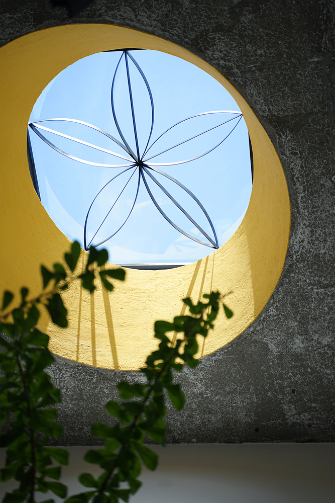 Hình ảnh hoa cúc xuất hiện ở giếng trời. tấm chắn giếng trời hình cánh hoa