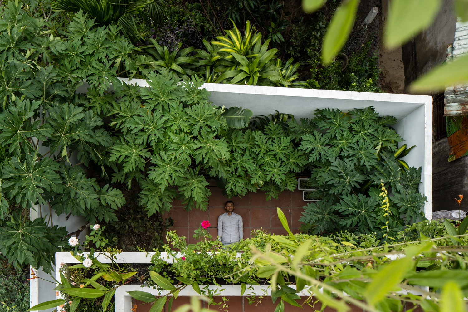 khoảng sân vườn sau nhà nhìn từ trên cao xuống