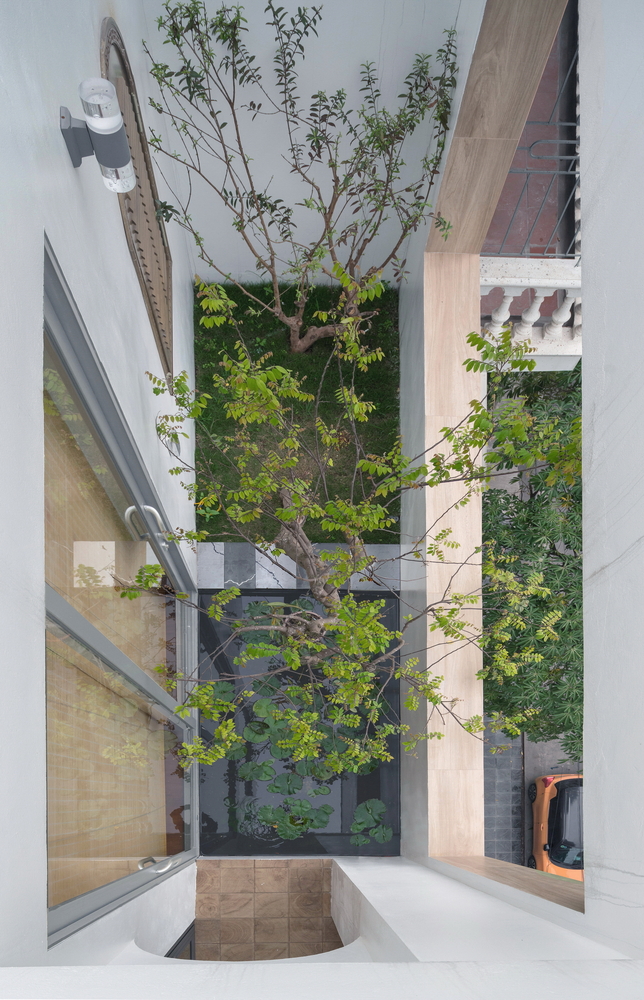 Cây xanh và mặt nước trong kiến trúc nhà. Cây xanh và hồ nước