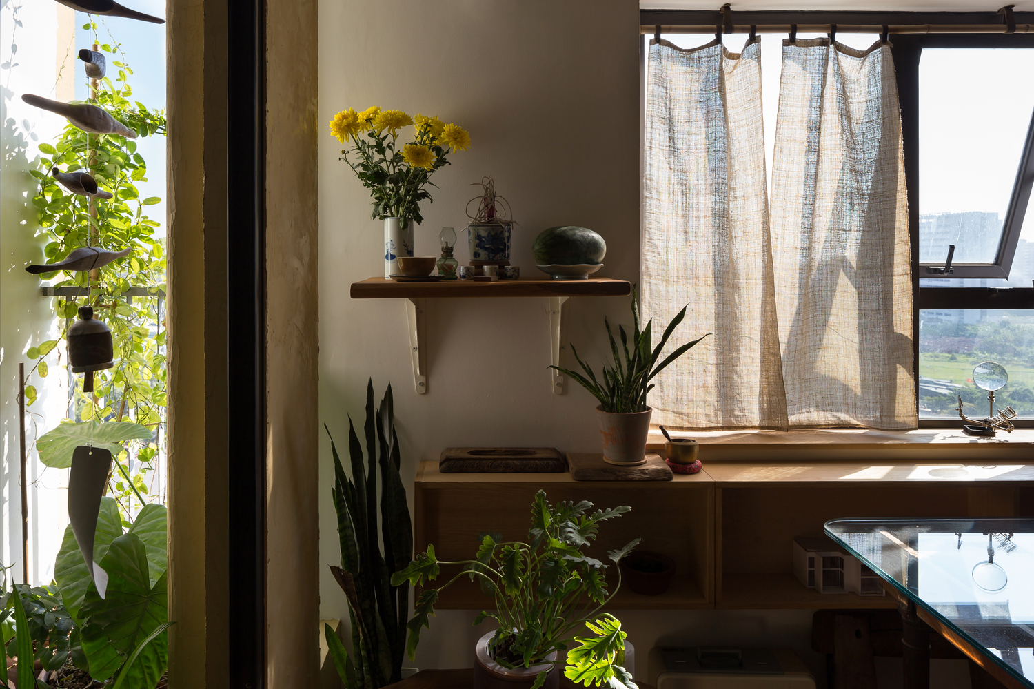 Khắp mọi nơi trong căn hộ đều có cây xanh. bàn thờ treo tường