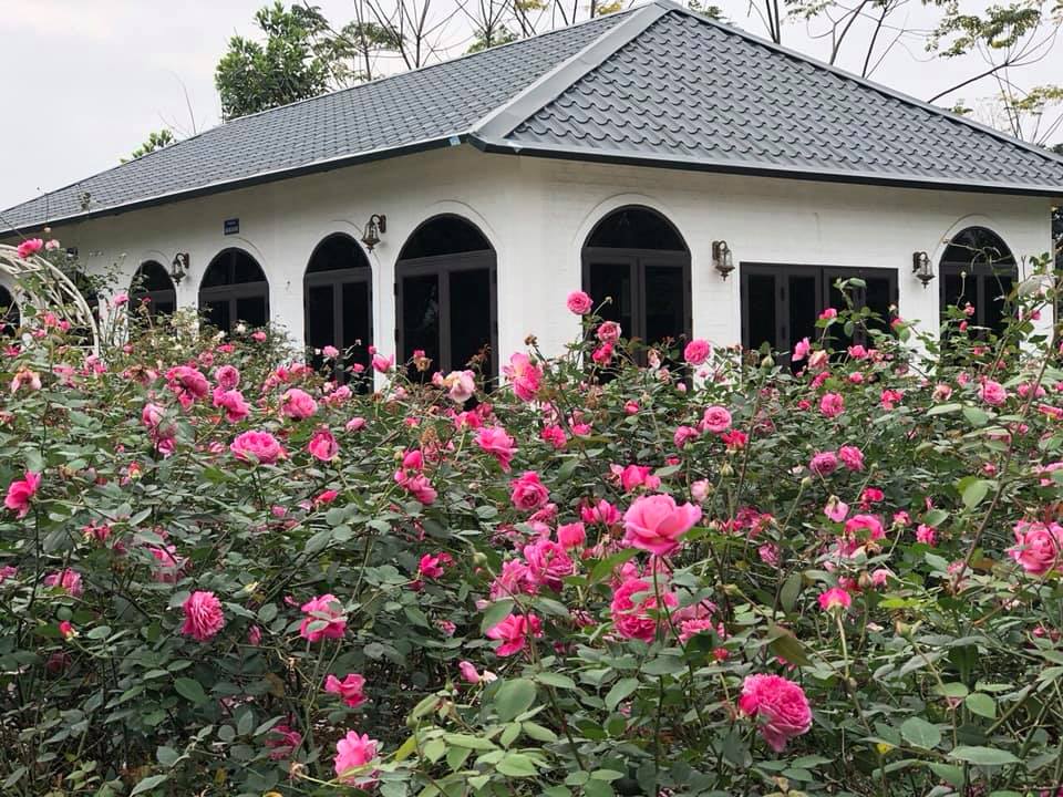 Những lưu ý "sống còn" khi lùng mua đất làm nhà vườn, homestay