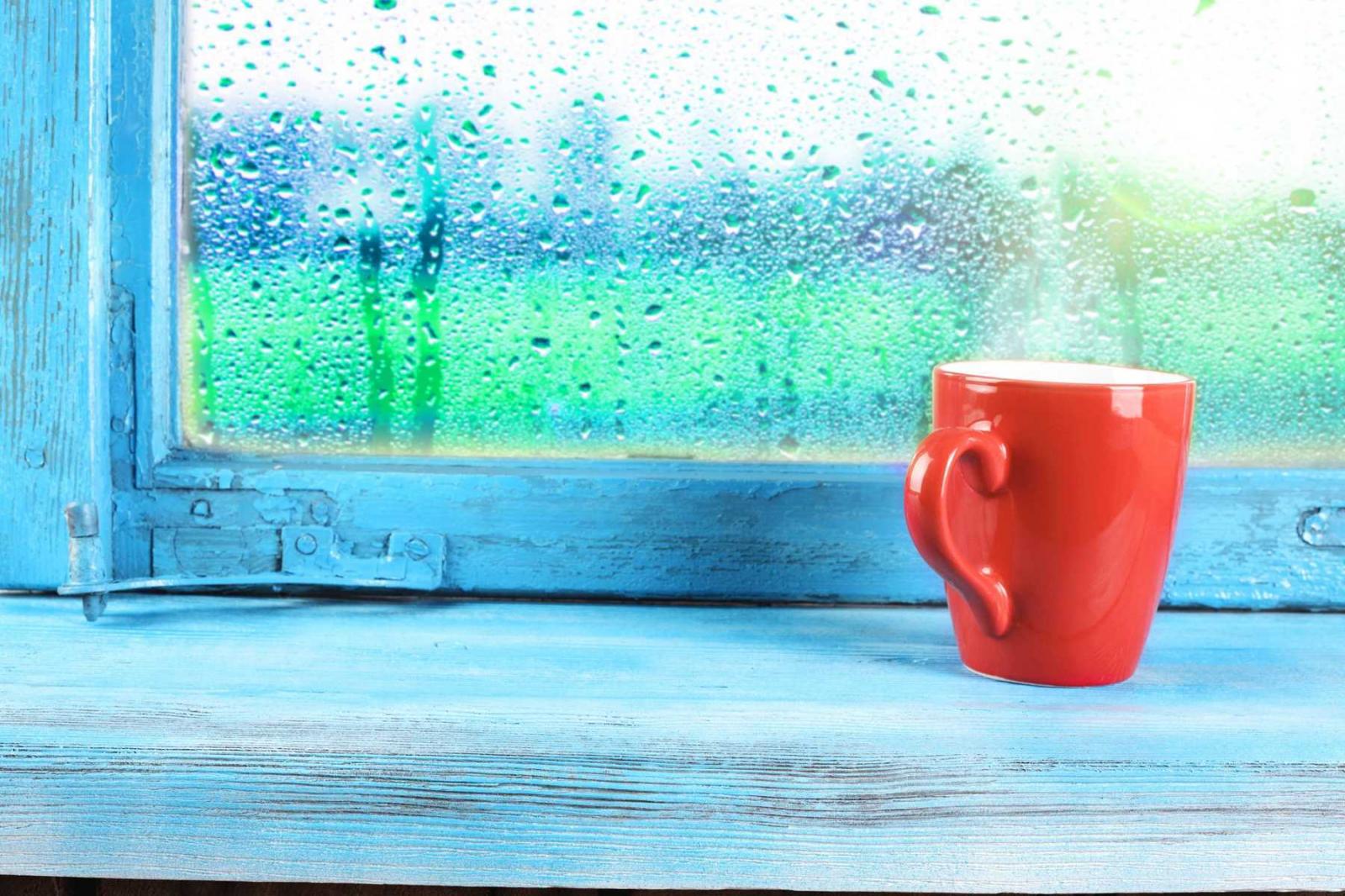 Tổng hợp bí kíp ứng phó với trời nồm vừa đơn giản lại hiệu quả