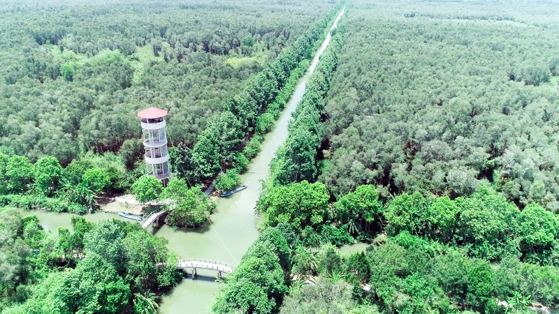 khu bảo tồn thiên nhiên với rất nhiều cây xanh