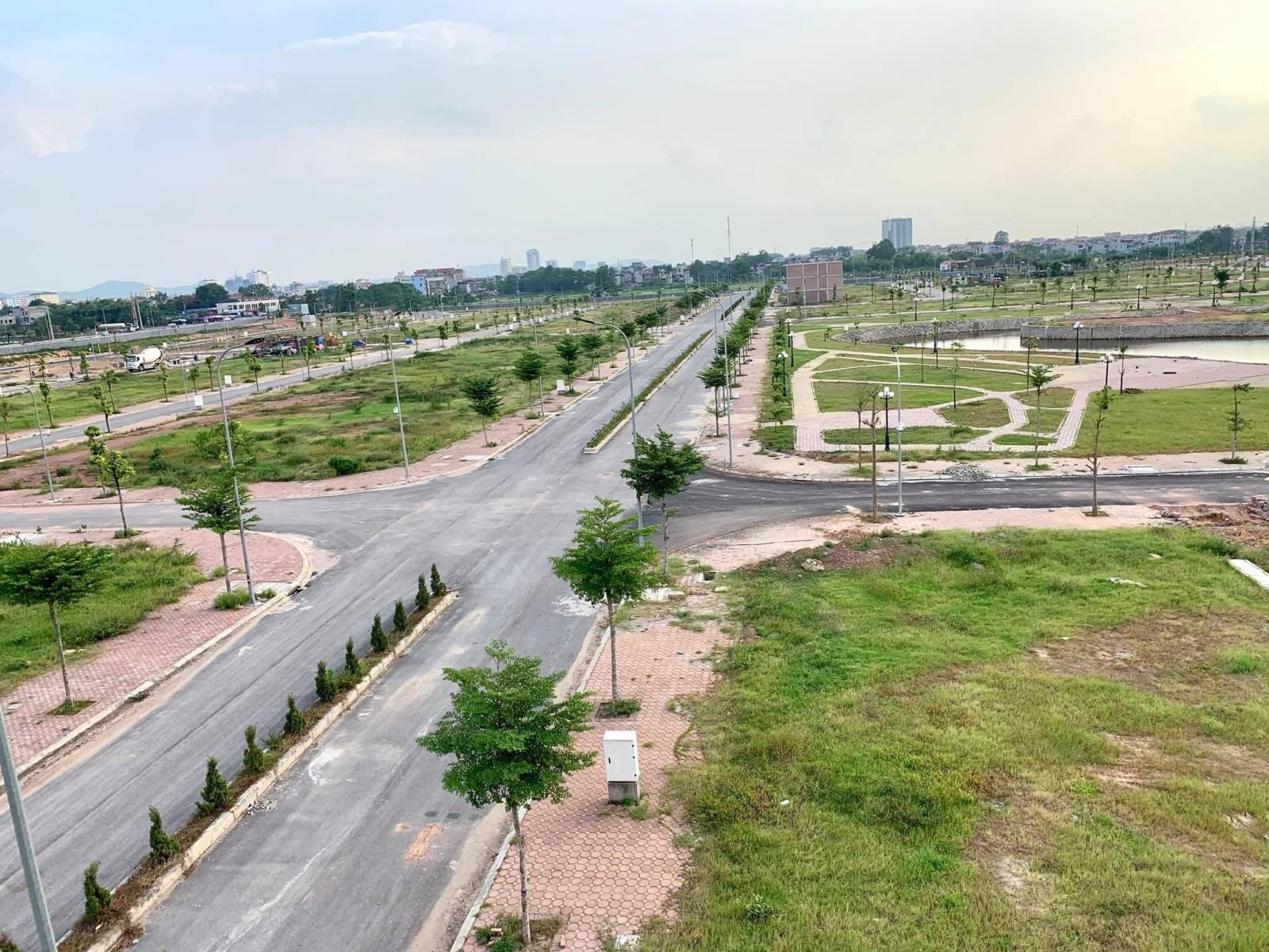 z2156887826634_30ac3c42026d00dd2cf20bb6b7f2752d