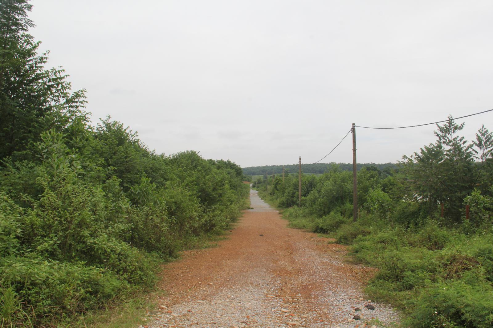 hình ảnh thị trường đất Ba Vì