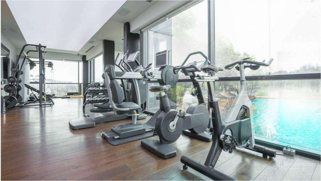 Phòng tập gym và thể thao hiện đại