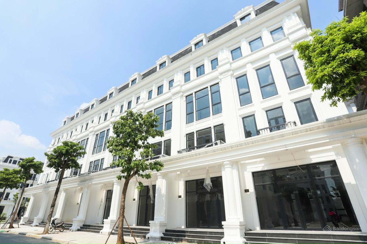 Louis City Đại Mỗ