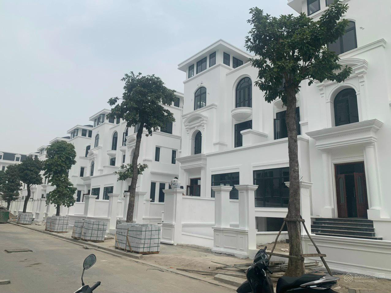 Louis City Đại Mỗ