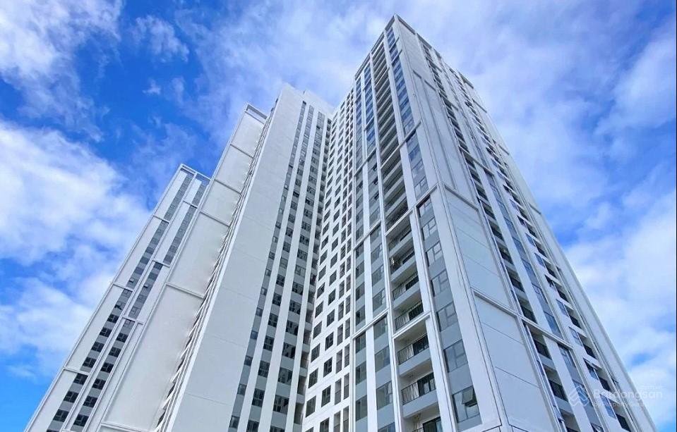 Hình ảnh thực tế cảnh quan sân vườn