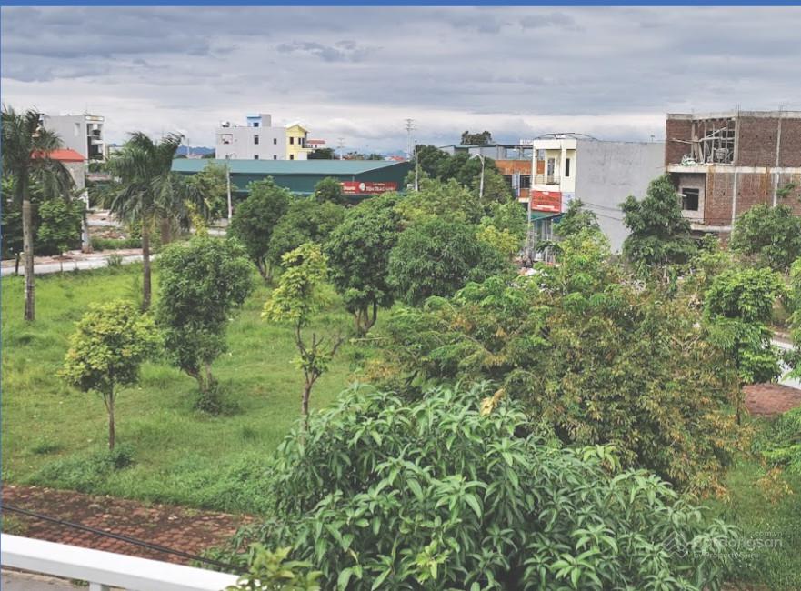 A view of a park with trees and buildings
Description automatically generated
