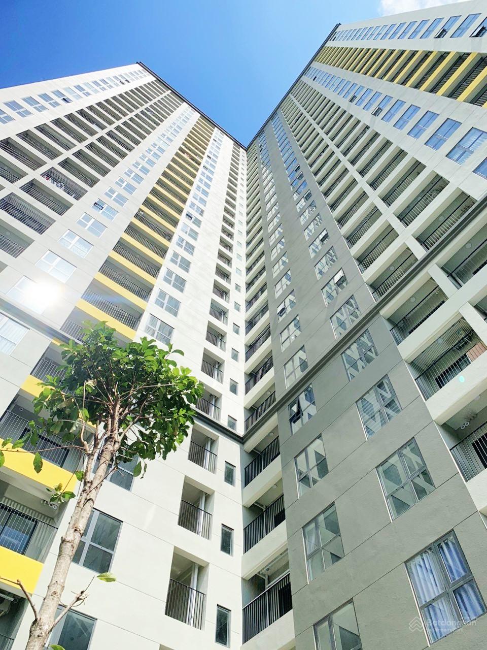 Hình ảnh thực tế dự án thời điểm bàn giao (2)