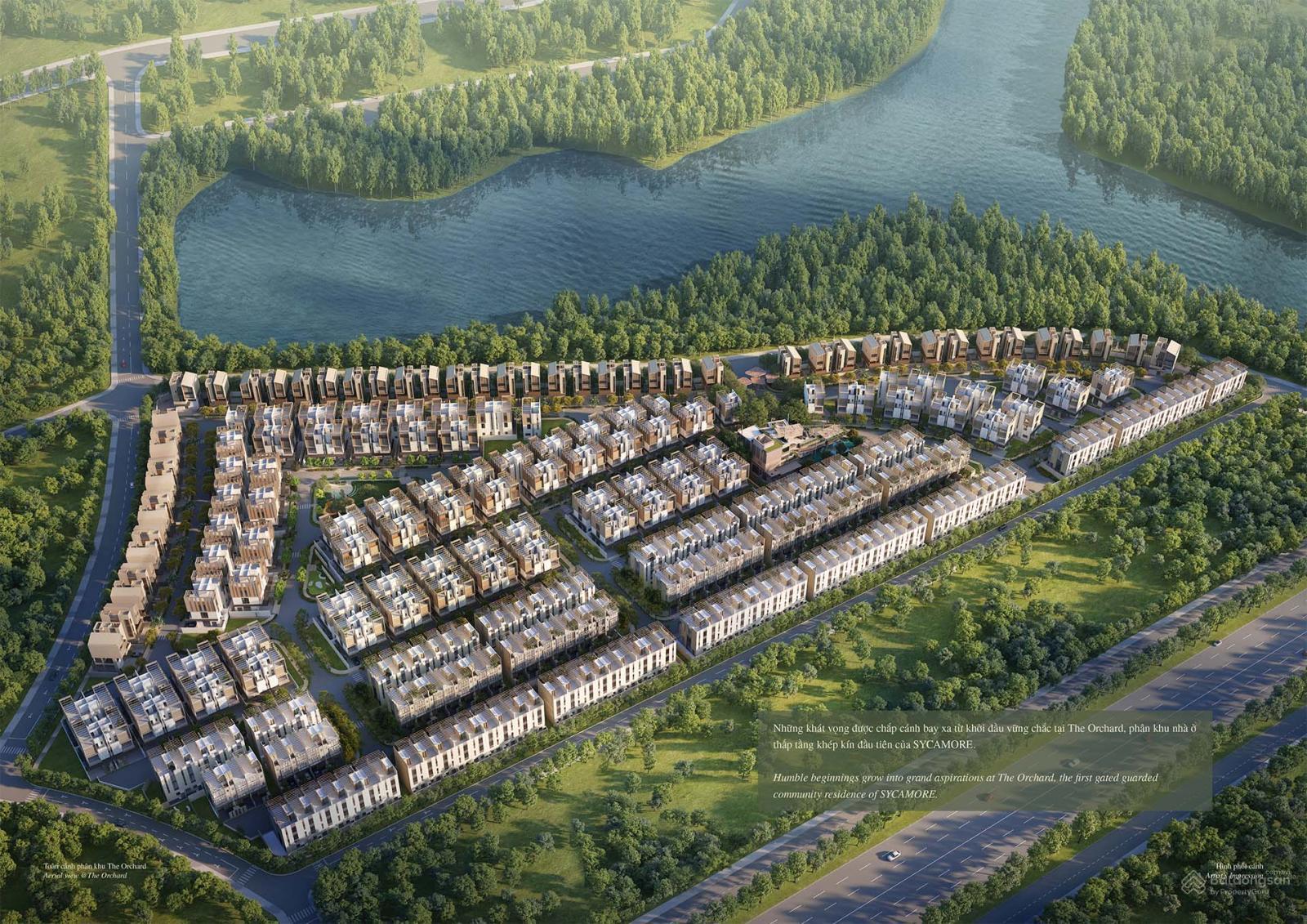 Sycamore Bình Dương