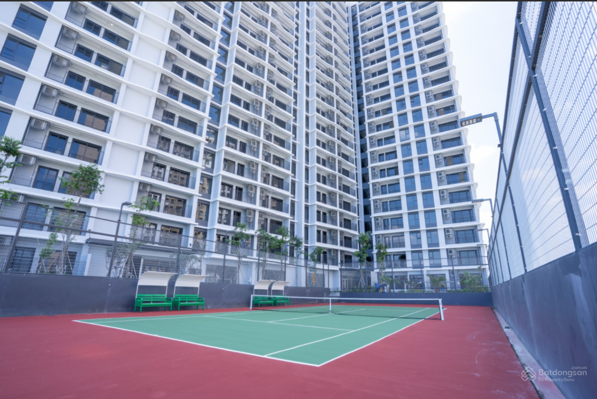 Hồ bơi đang trong quá trình hoàn thiện