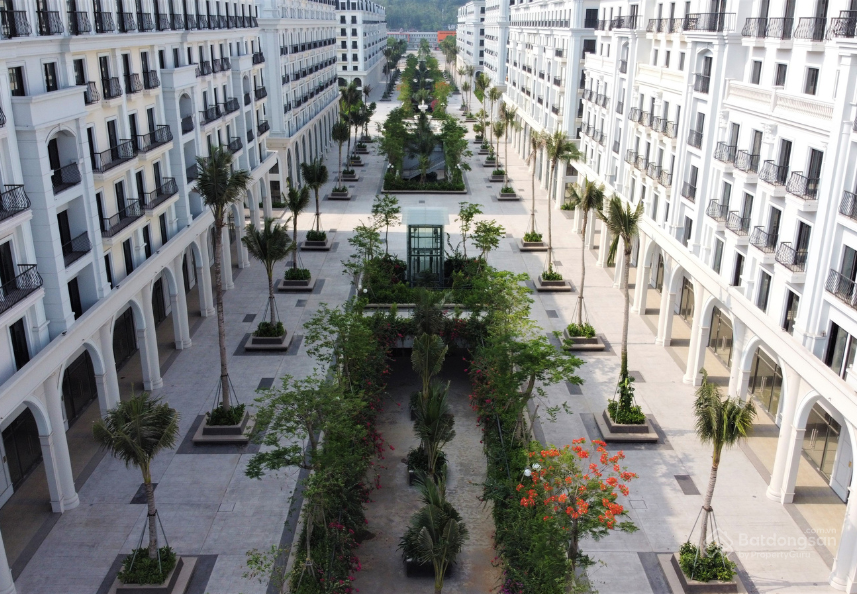 Hồ bơi tại dự án