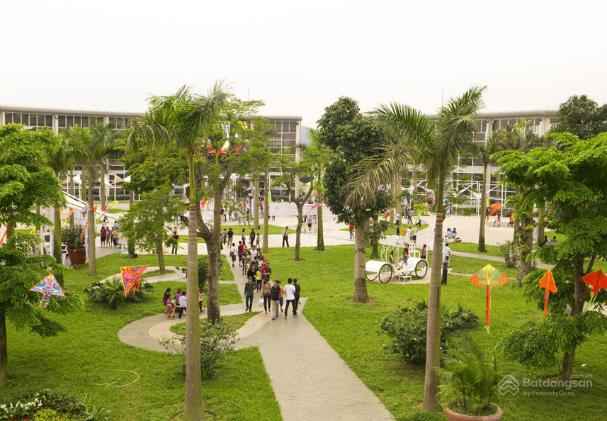 Khu vực bến du thuyền