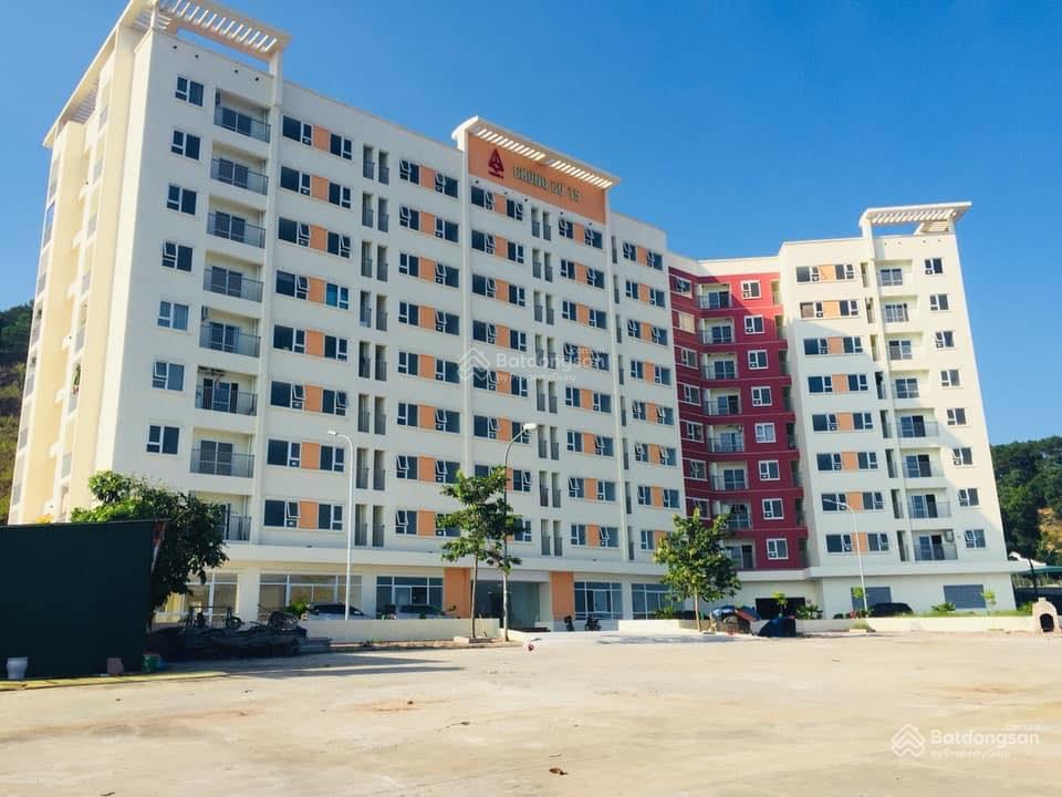 Ảnh chụp toàn cảnh khu vực đồi T5