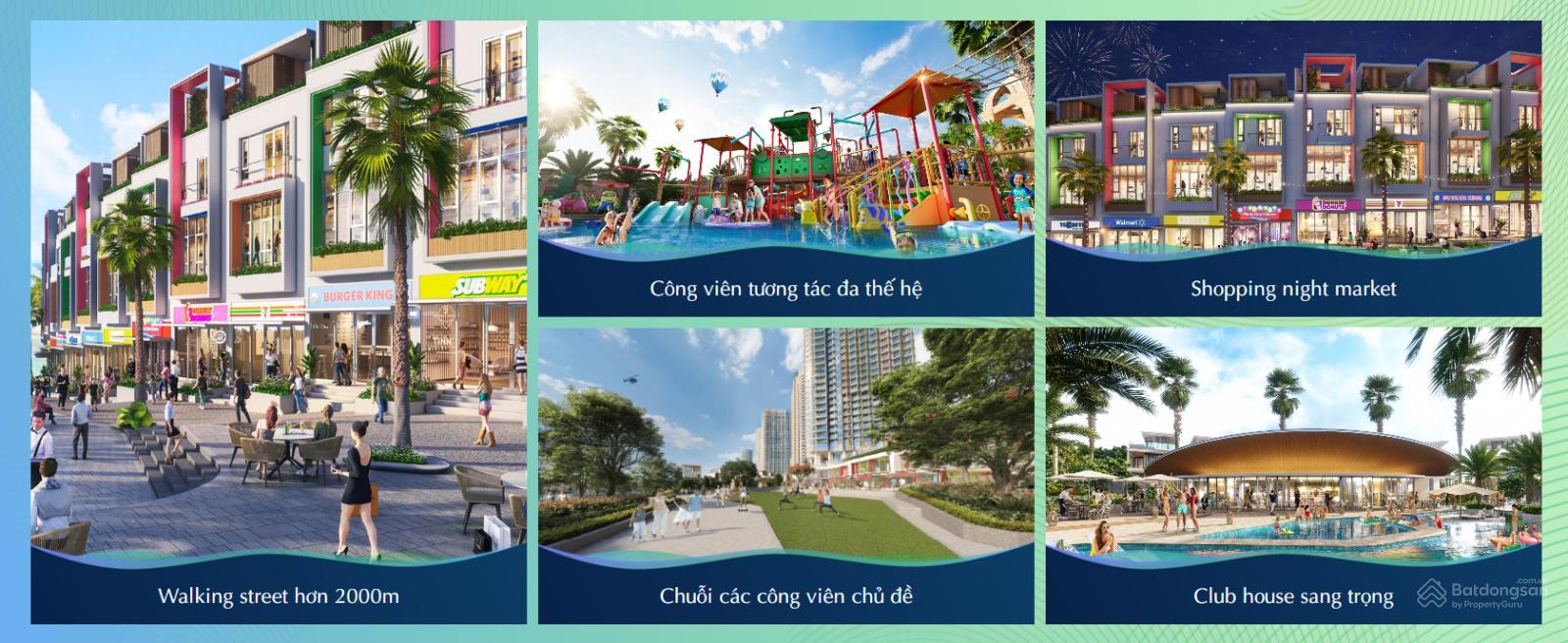 Khu vực hồ bơi và cảnh quan