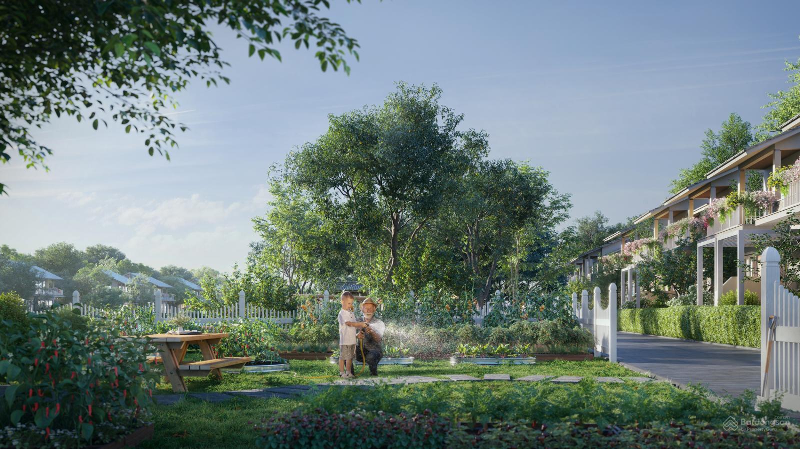 Khu vực quảng trường