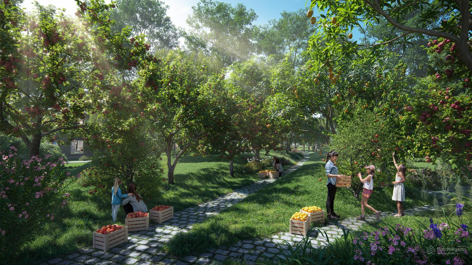 Cảnh quan buổi tối