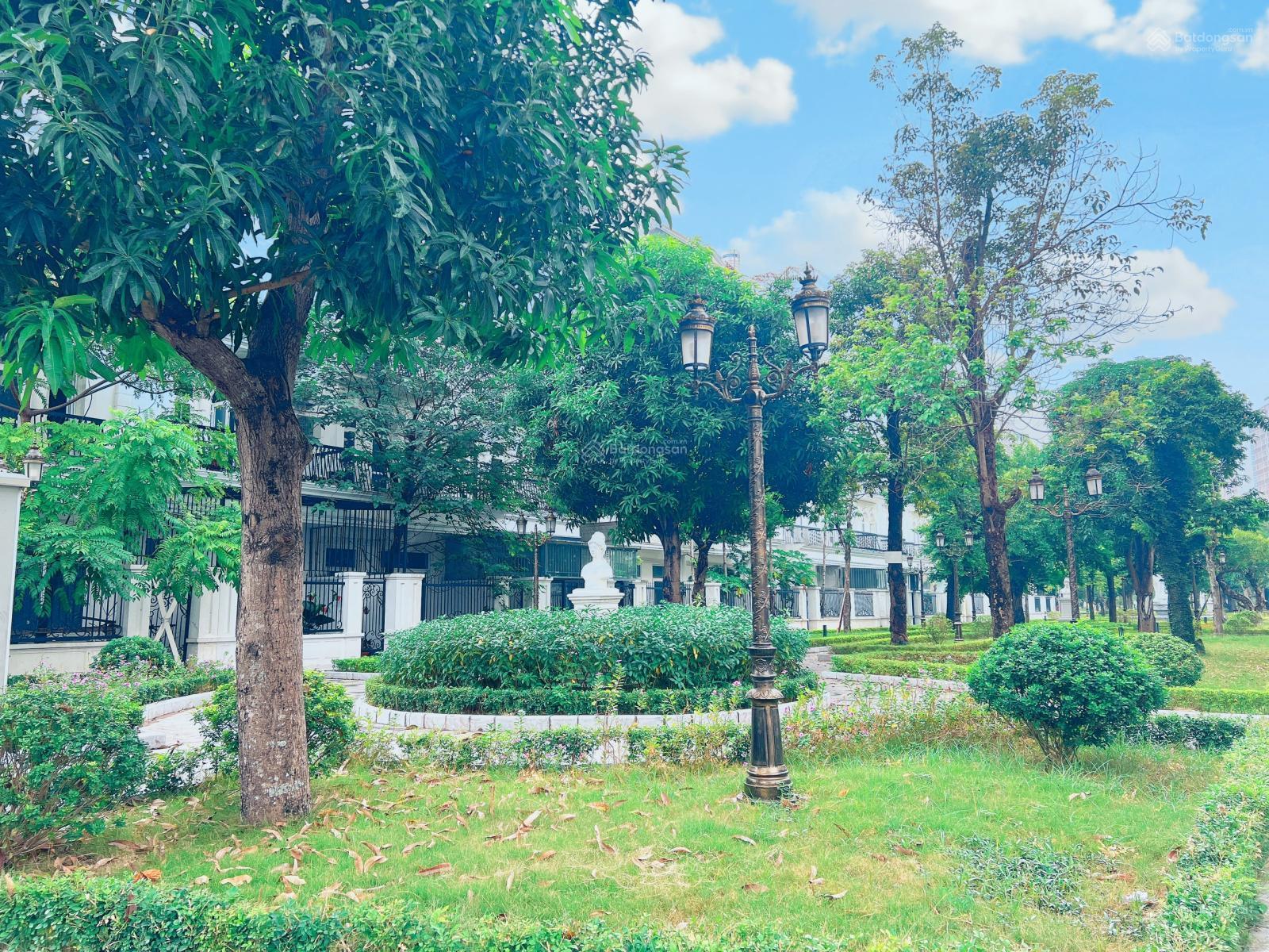 Louis City Đại Mỗ