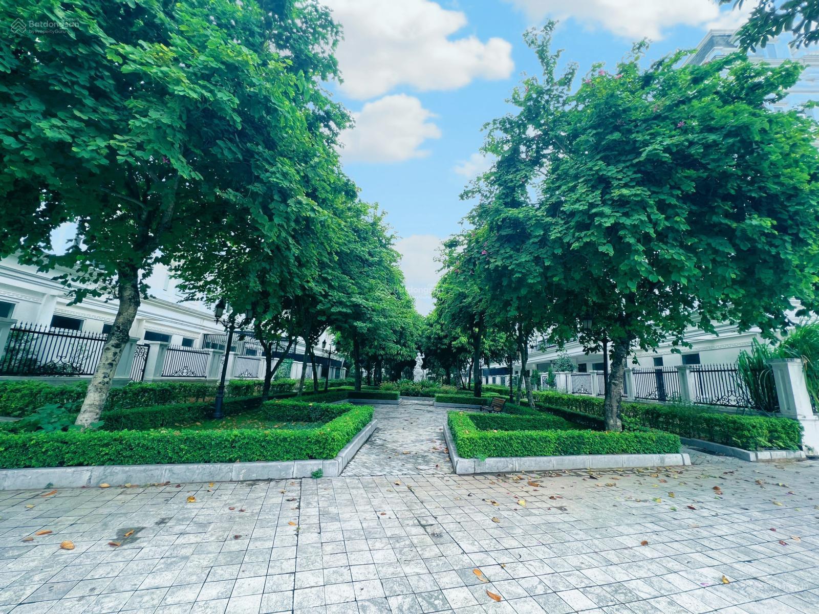 Louis City Đại Mỗ